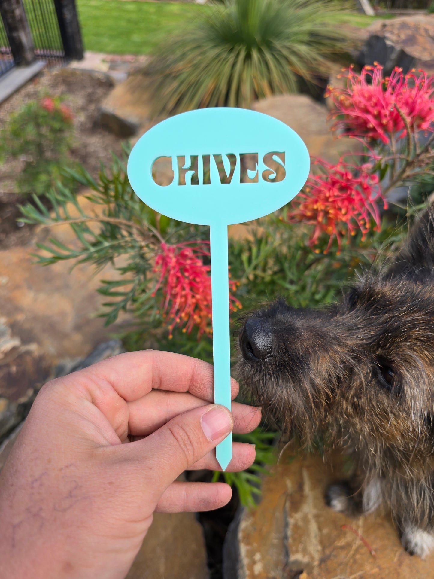 Herb Sticks