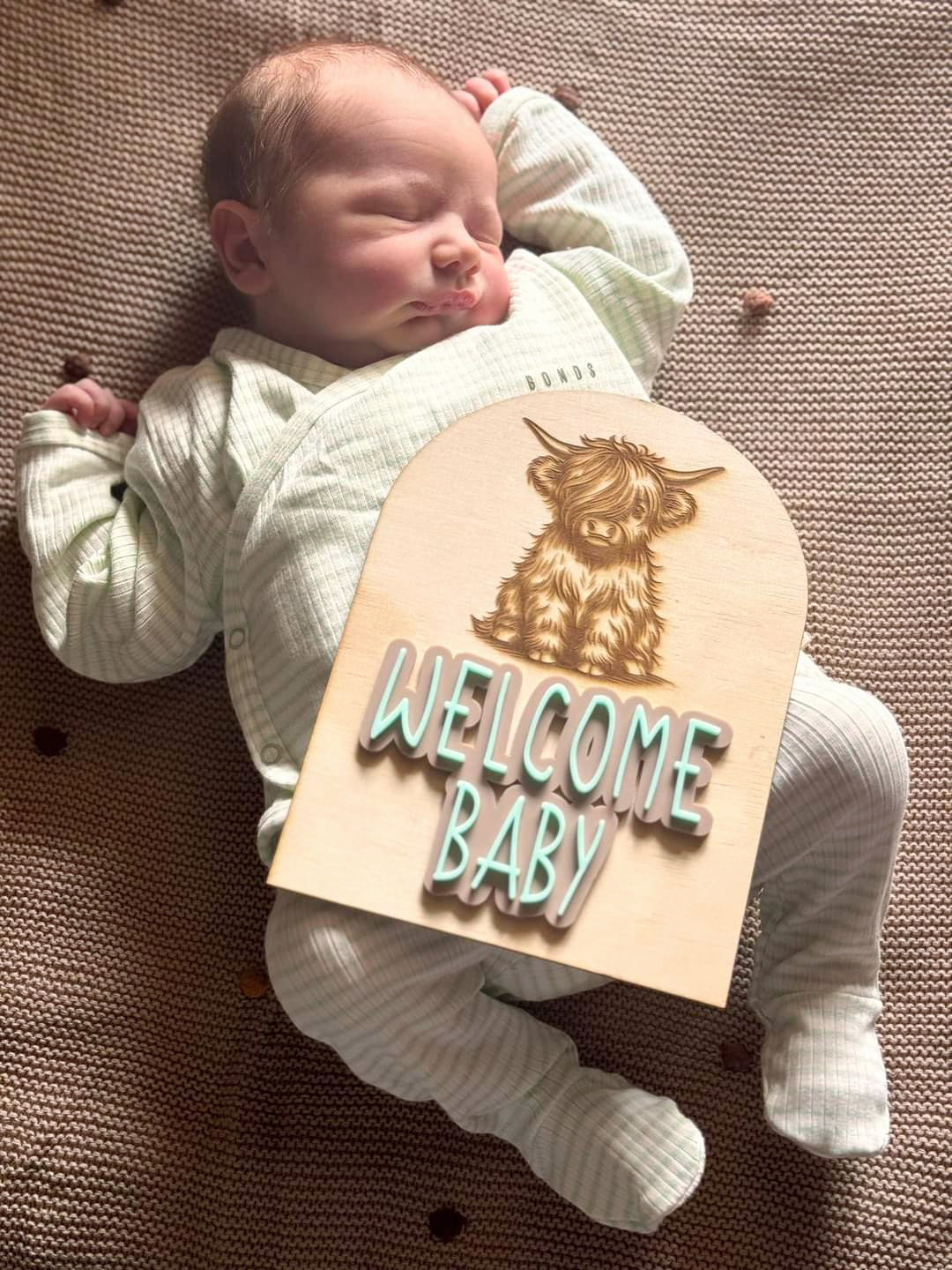 Highland Cow 'WELCOME BABY' Sign